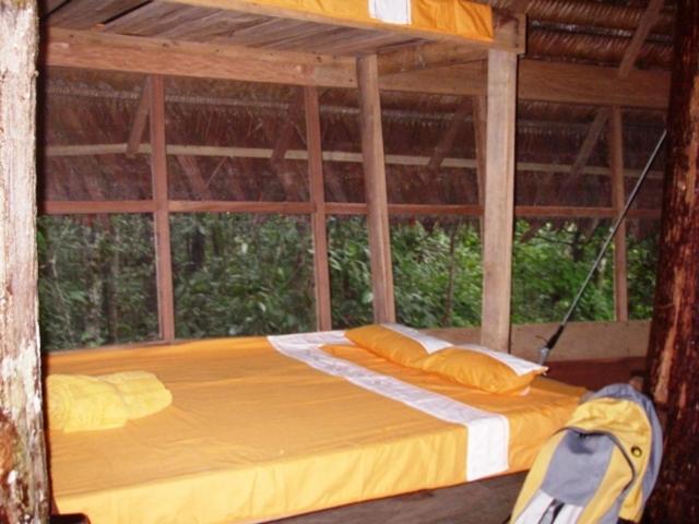 Reserva Natural Tanimboca - Bungalow (5 adultos) - 3