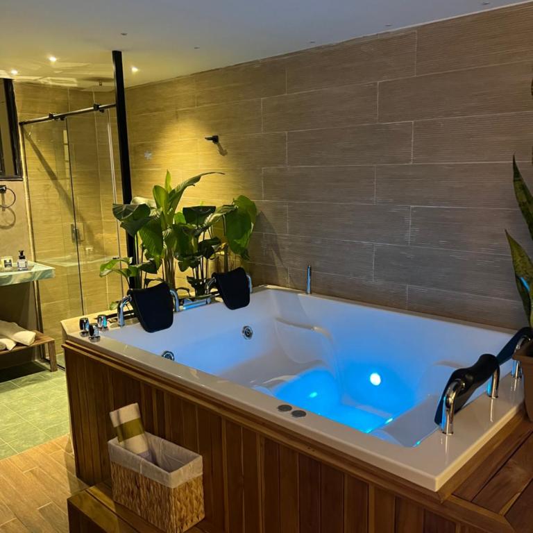 LUXURY PALACE POBLADO MANILA - Apartamento de 1 dormitorio - 5