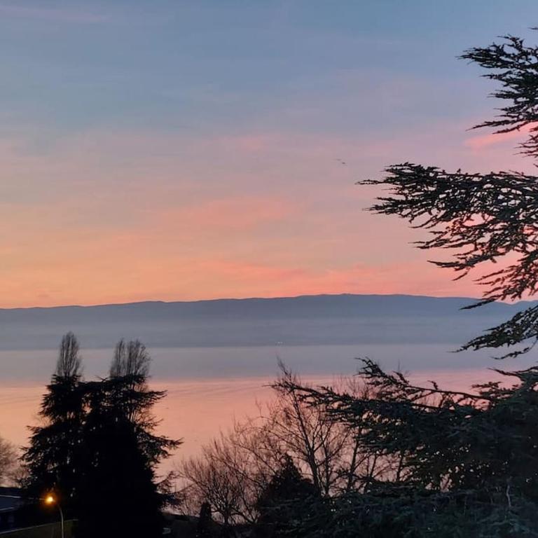 Le Mirabeau Vue Lac - Apartamento de 1 dormitorio - 1