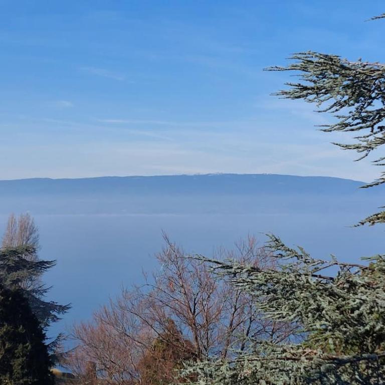 Le Mirabeau Vue Lac - Apartamento de 1 dormitorio - 21