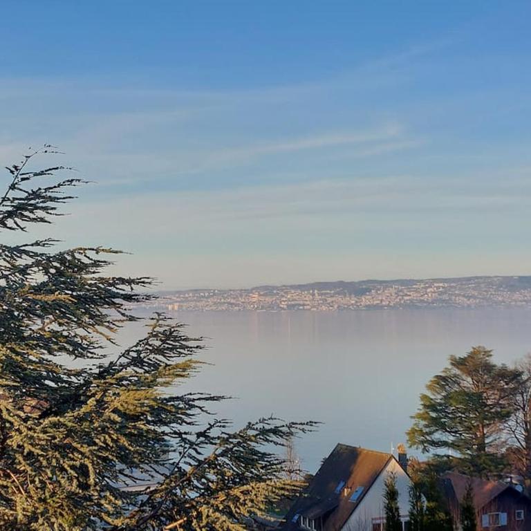 Le Mirabeau Vue Lac - Apartamento de 1 dormitorio - 26