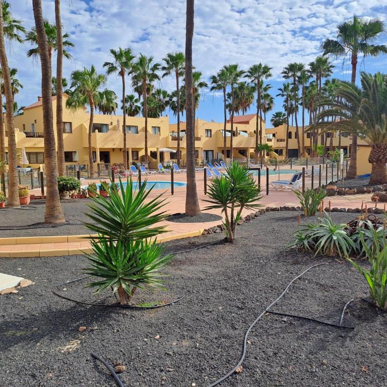 CASA MOROCCO - Apartamento de 2 dormitorios - 15