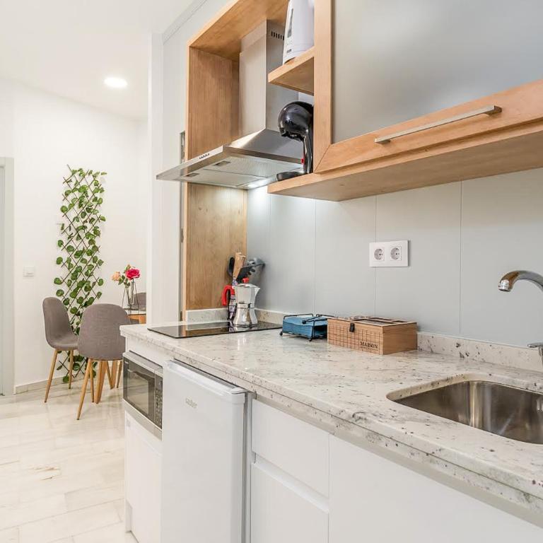 GRX Gran vía Catedral - Two-Bedroom Apartment - 6