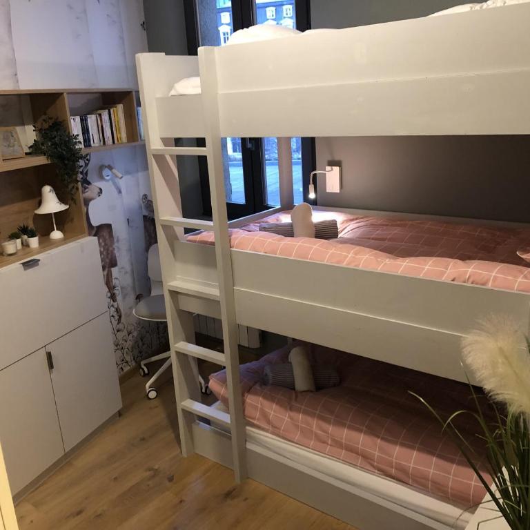 Appart Centre Chamonix Grande Terrasse Mont Blanc - Apartment with Shower - 18