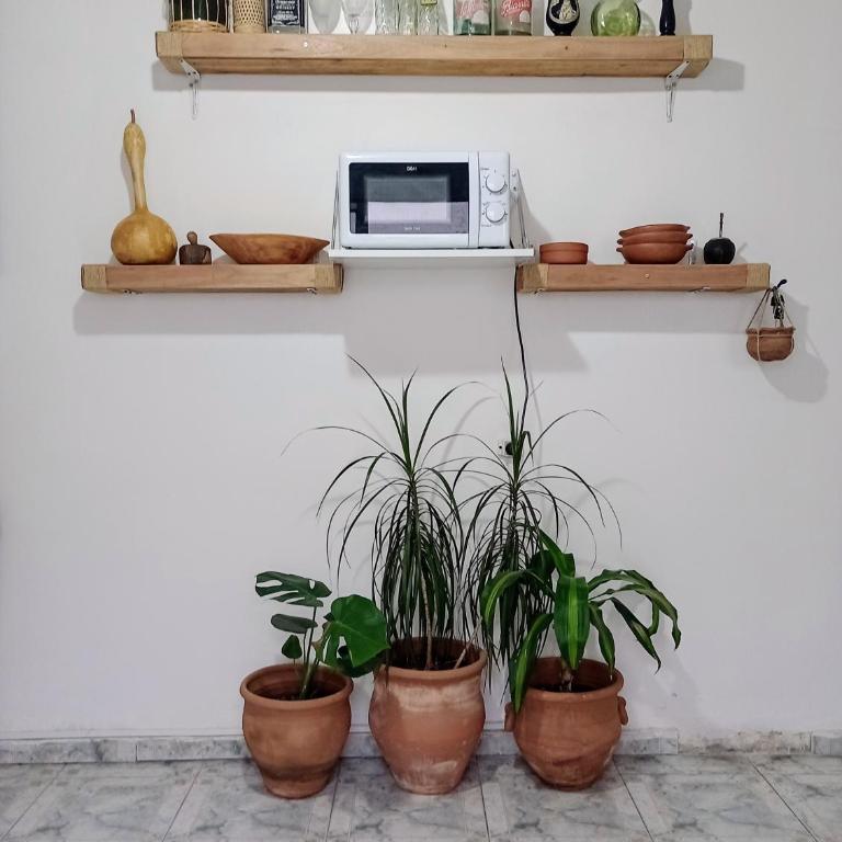 CASA PATRIA, con cochera, patio, parrilla - Casa con 1 dormitorio - 14