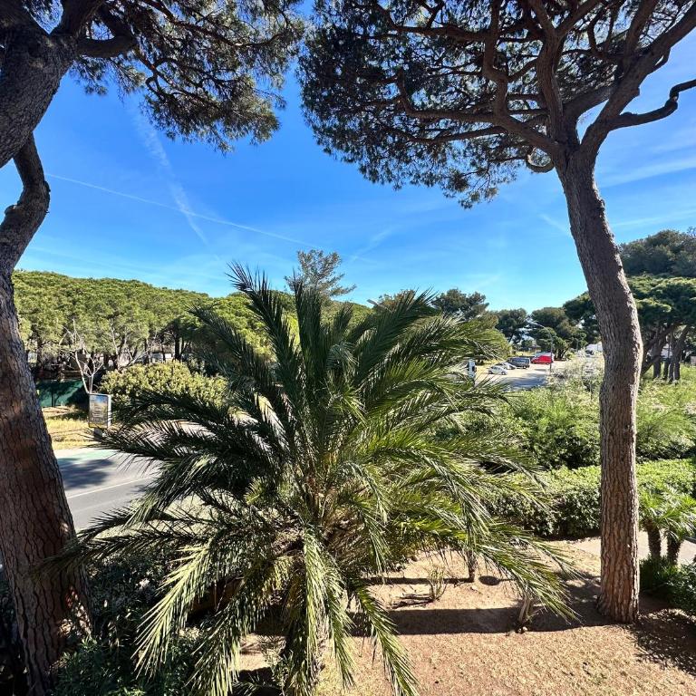 HYEBOUG Appartement pour 4 personnes dans résidence avec piscine situé sur le port d'Hyères - Apartment - 2