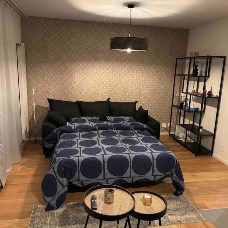 Charmant Studio - Appartement 1 Chambre - 8
