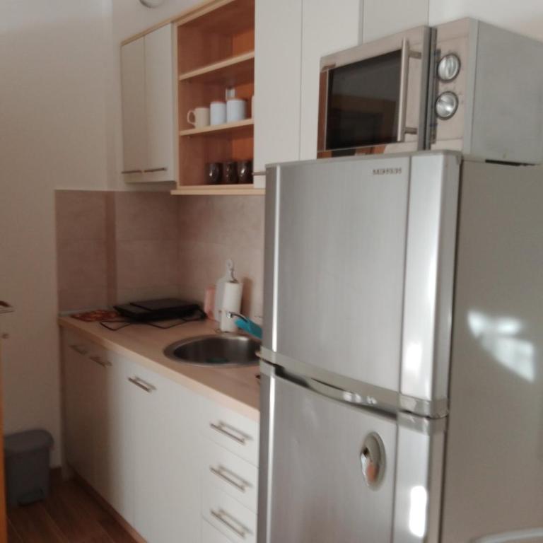 Vesna M - Apartman sa 1 Spavaćom Sobom - 9