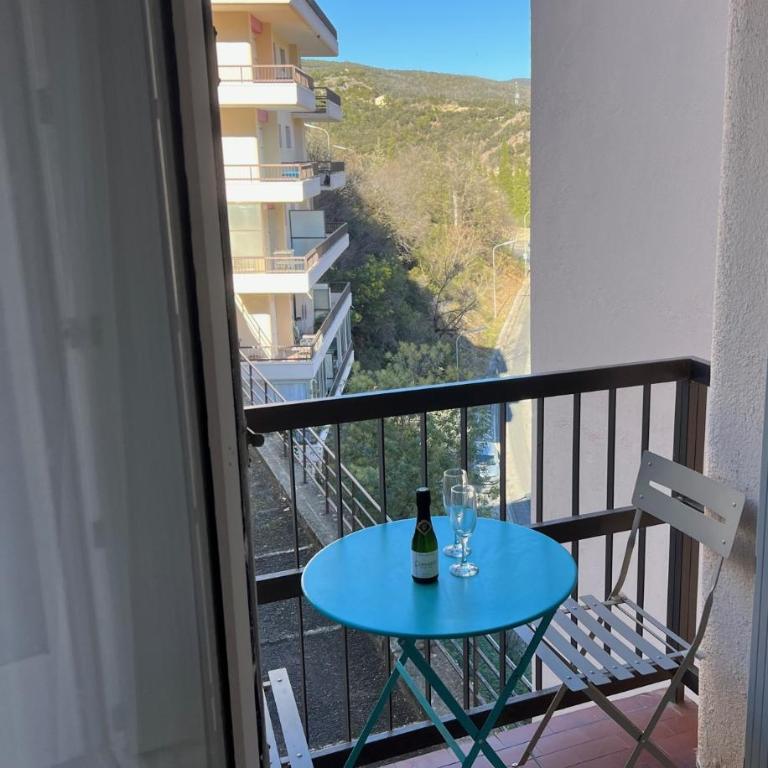 Charmant logement entre mer et montagne idéal pour cure thermale - Appartement 1 Chambre - 15