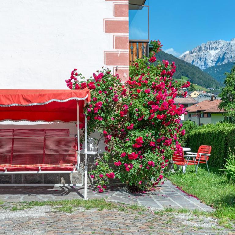 Apartments Karl - Appartamento - Piano Terra - 21