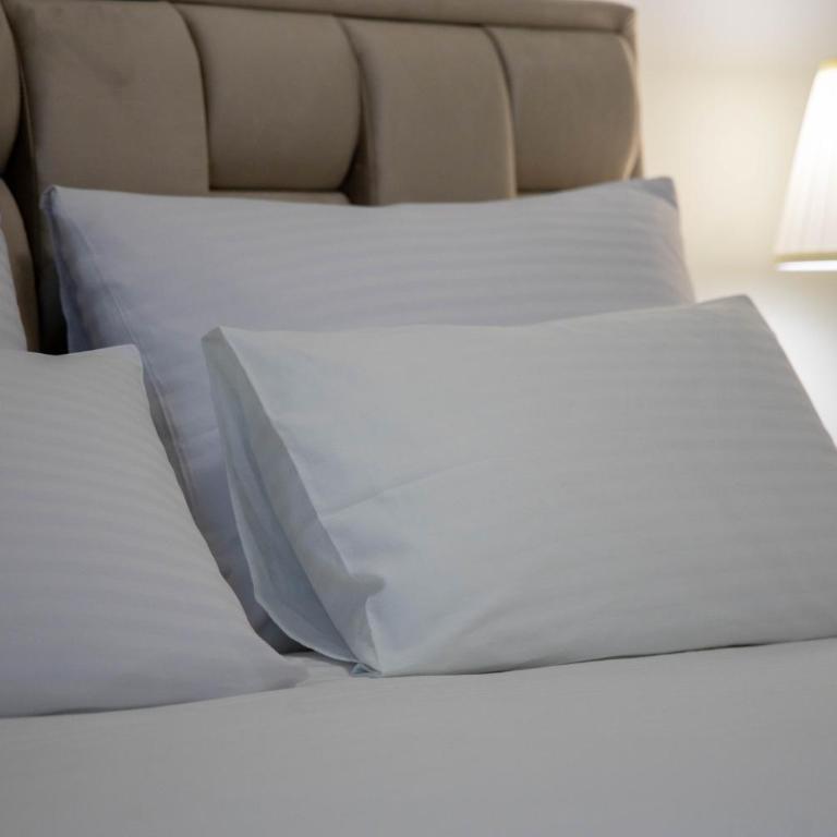 Apartments Royal - Belgrade Waterfront - Superior Apartman Tipa Suite s King-sajz Krevetom - 6