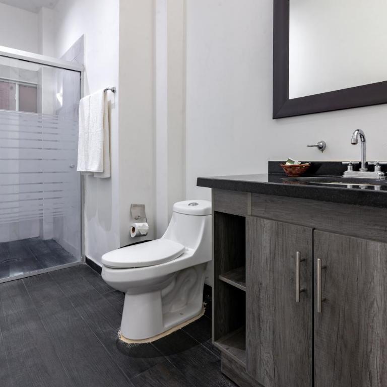 European Life Style Executive Suites - Suite Deluxe con cama extragrande - 4