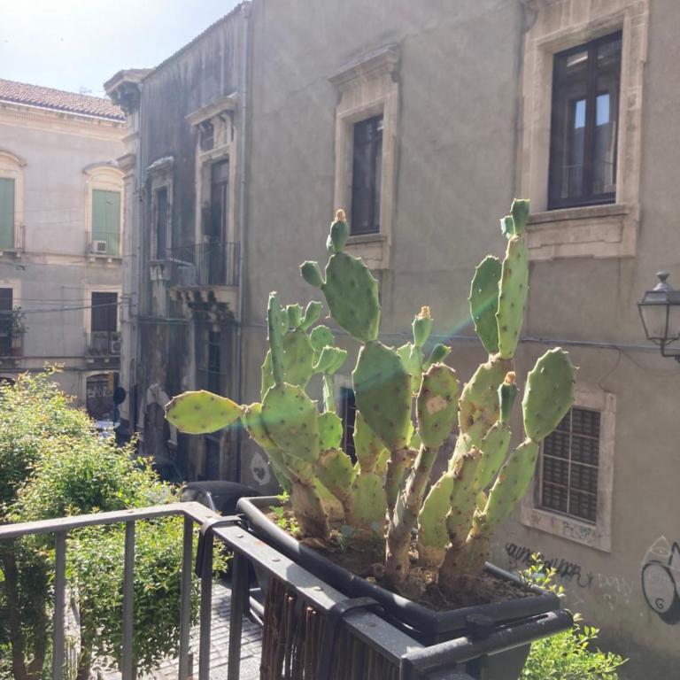 Àita Domus - Two-Bedroom Apartment - 7