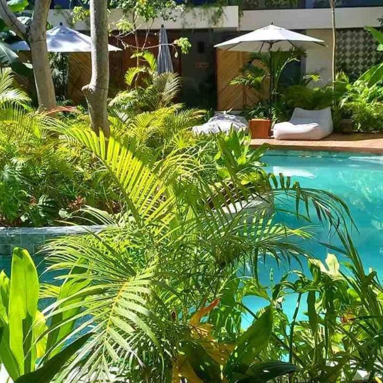 5 Star NEW Luxury Condo with Infinity & Cenote Pools - Apartamento de 1 dormitorio - 37