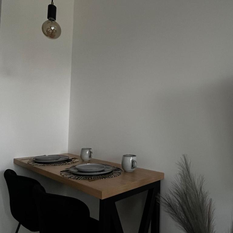 Dorcolina - Novi Dorcol - Apartman sa 1 Spavaćom Sobom - 11