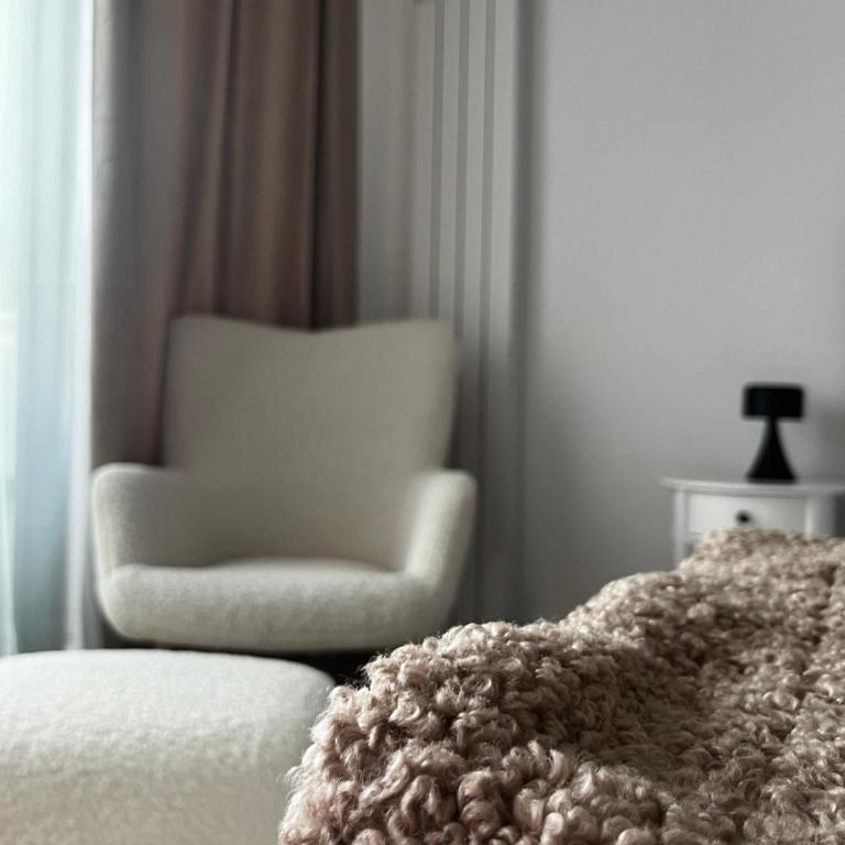 Dorcolina - Novi Dorcol - Apartman sa 1 Spavaćom Sobom - 1