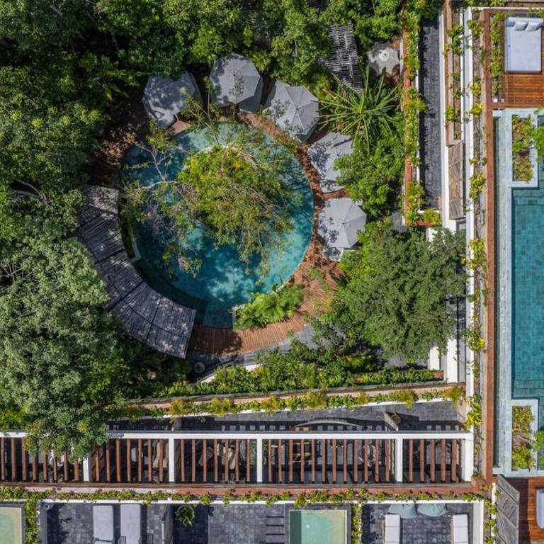 New 5 Star Condo-Infinity and Cenote Pool - Apartamento de 1 dormitorio - 54