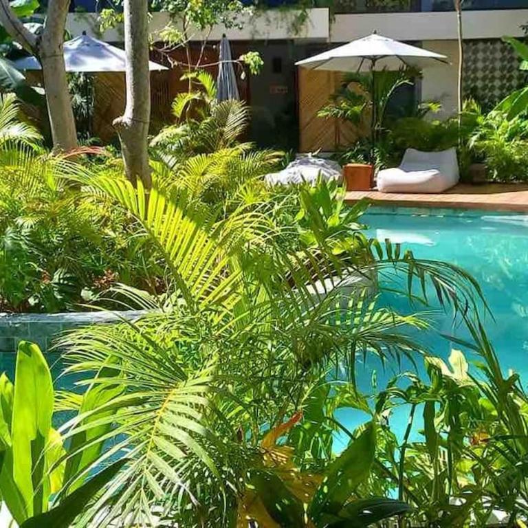 New 5 Star Condo-Infinity and Cenote Pool - Apartamento de 1 dormitorio - 56