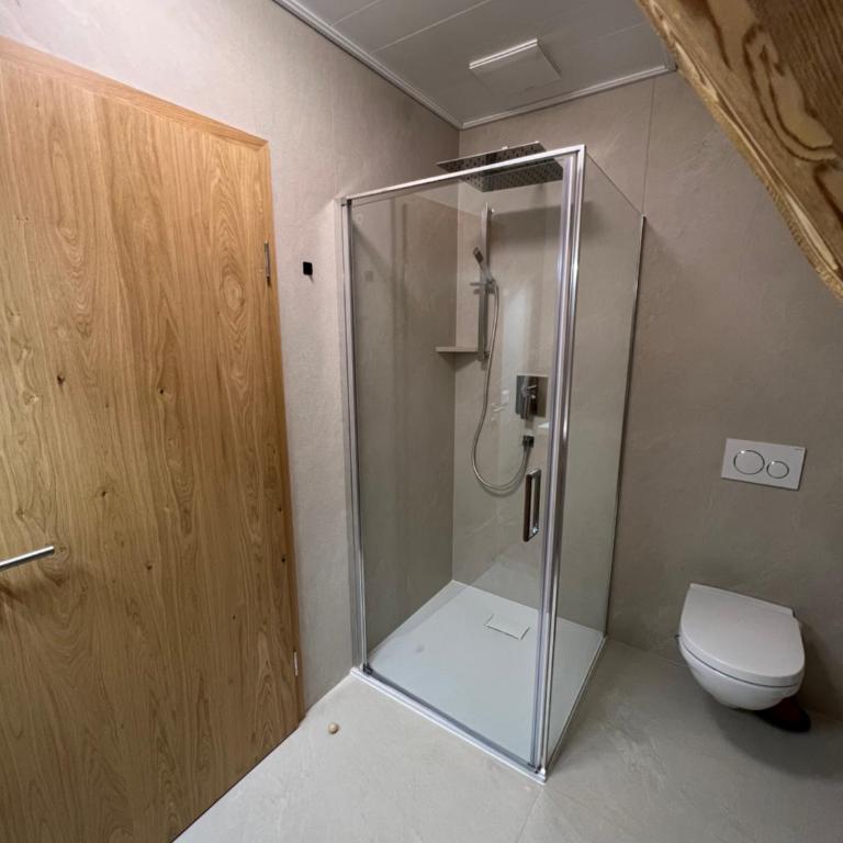 Sonnenschein Appartement- und Ferienhaus mit Stadel und Terrasse - Studio-Apartment - 22