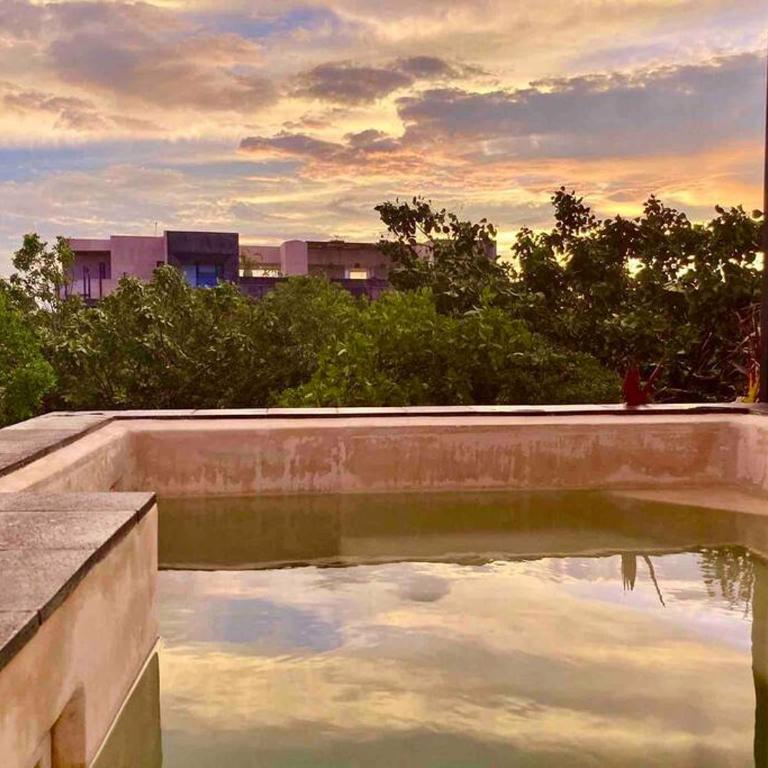 5 Star Luxury Penthouse /Private Pool/Cenote Pool - Apartamento de 1 dormitorio - 35