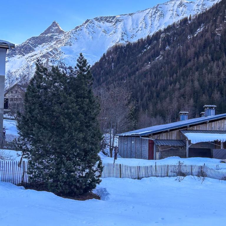 Chalet La Savoyarde - Appartement - Rez-de-Chaussée - 10