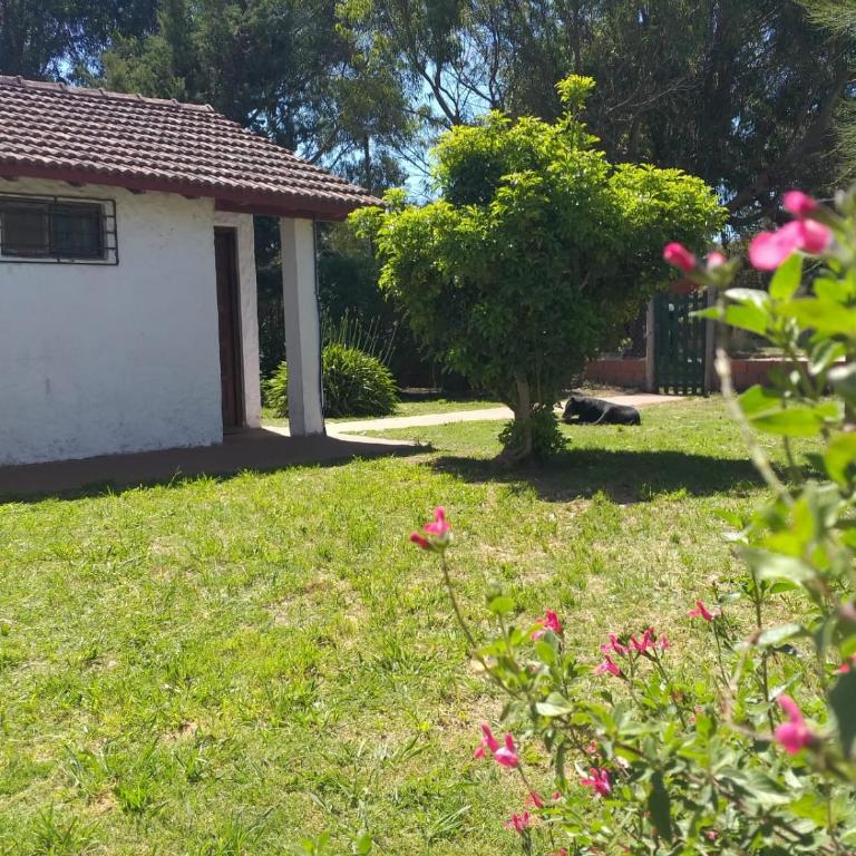 Chalet Mitaluya - Casa con 1 dormitorio - 4