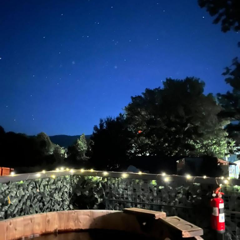 Krukke Valdivia - Apartamento de 1 dormitorio - 20