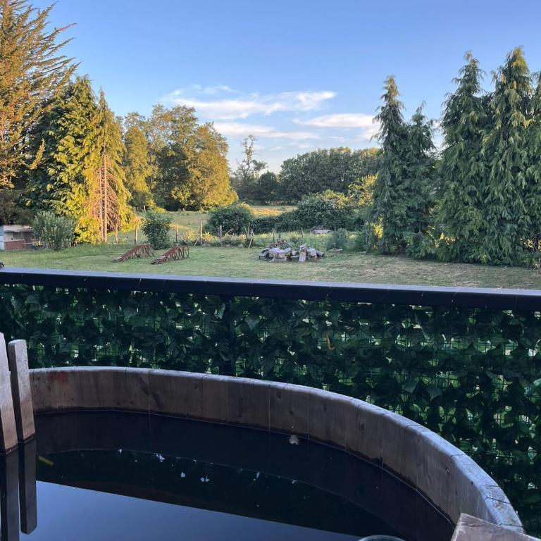 Krukke Valdivia - Apartamento de 1 dormitorio - 21