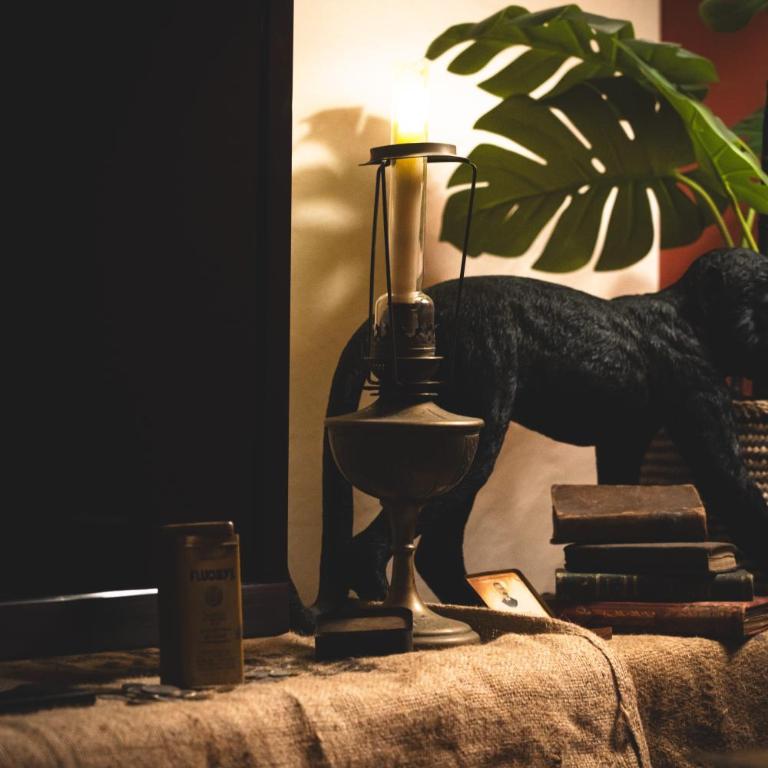 L'Insolite, expérience safari chic à Saumur - Appartement 1 Chambre - 16
