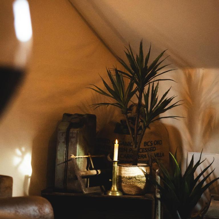 L'Insolite, expérience safari chic à Saumur - Appartement 1 Chambre - 13