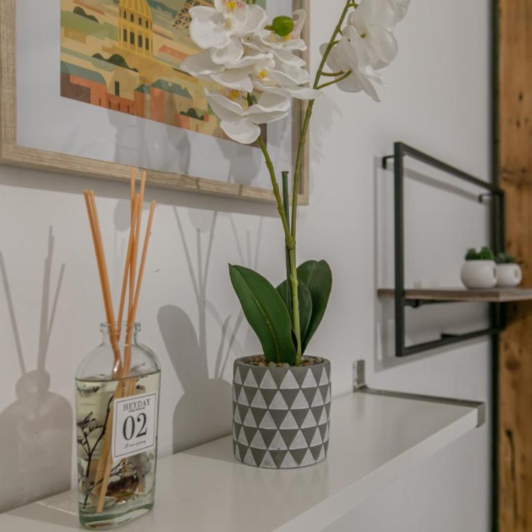 MBA - Splendide Appart - Patay 3 - Proche Bercy - Appartement 1 Chambre - 5