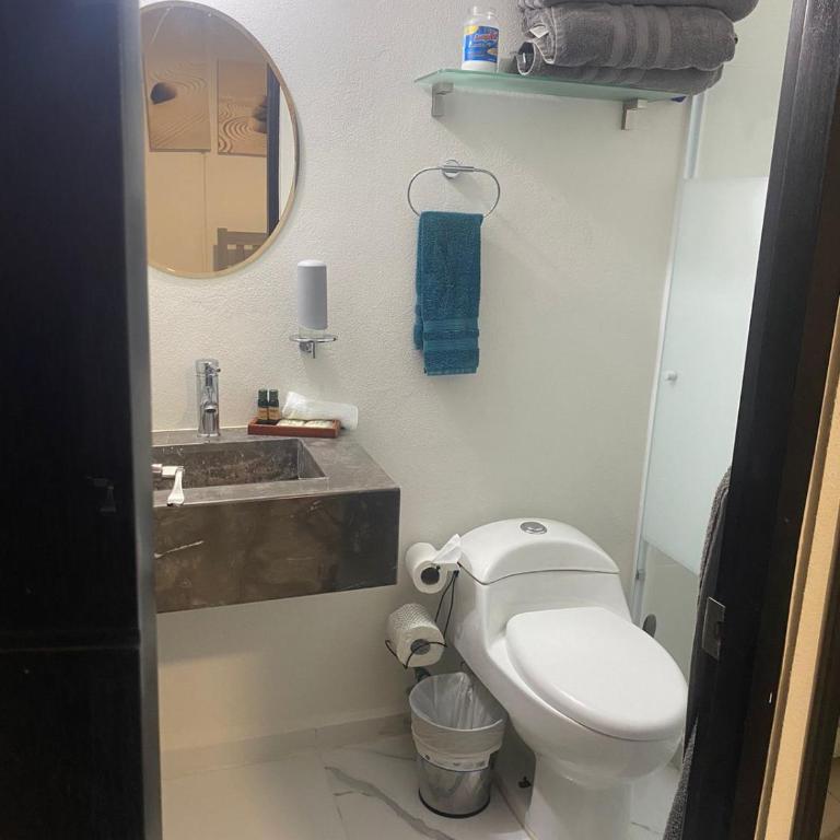 Apartamento en planta baja - Apartamento de 2 dormitorios - 22