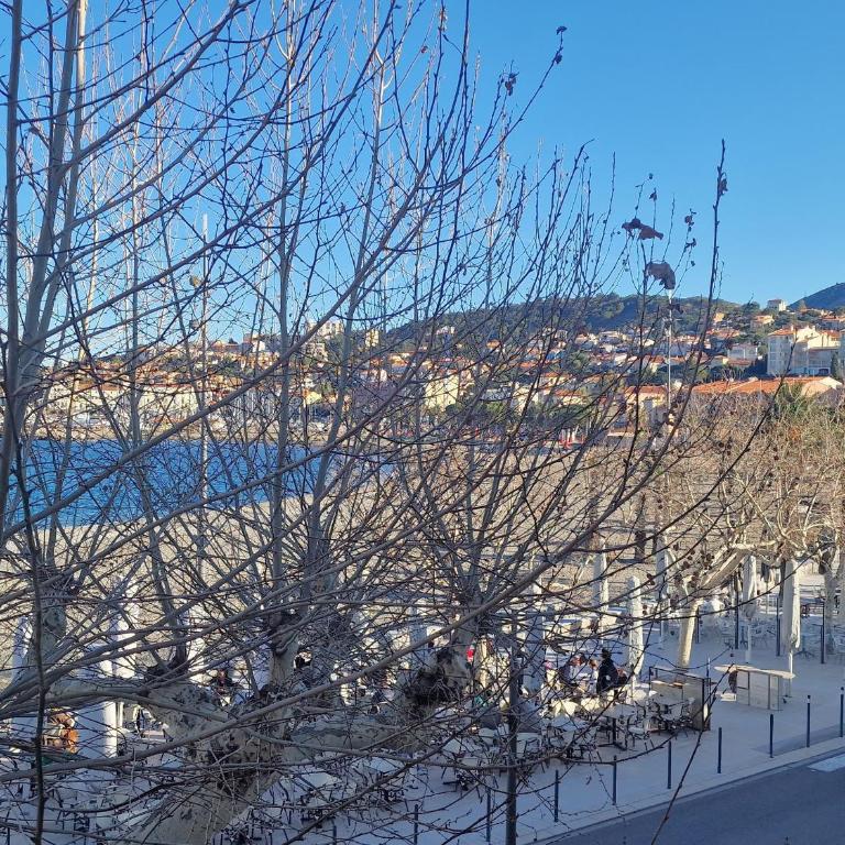 T3 à 50m de la plage, climatisé, Banyuls-sur-Mer - FR-1-309-9 - Two-Bedroom Apartment - 1
