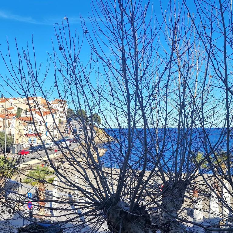 T3 à 50m de la plage, climatisé, Banyuls-sur-Mer - FR-1-309-9 - Two-Bedroom Apartment - 2