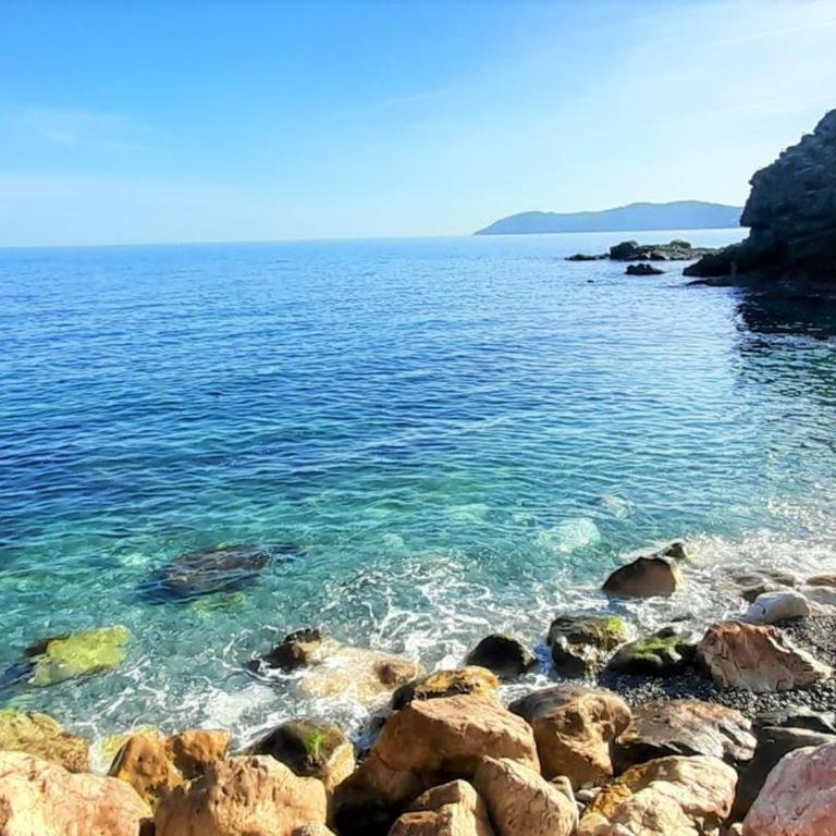 Apartamento Familiar Cerca de la Playa en Llançà con Aparcamiento y Mascotas Permitidas - ES-170-2 - Apartamento - 16