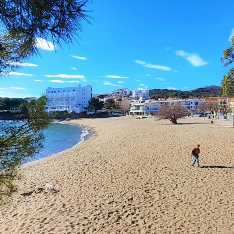 Apartamento con vistas al mar, se admiten mascotas y aparcamiento en Llançà - ES-170-15 - Apartamento - 5
