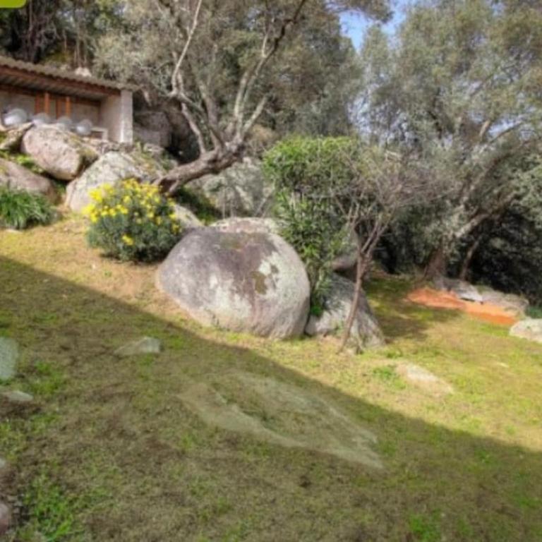 bellucciu di porto vecchio - Piscine - Haus mit 1 Schlafzimmer - 3