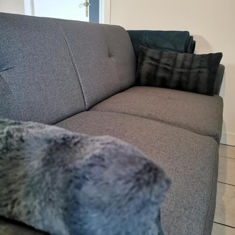 Charmant appartement à 1 minute du lac - Apartment mit 1 Schlafzimmer - 49