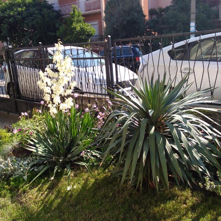 OLI apartman - Apartment - Disability Access - 24