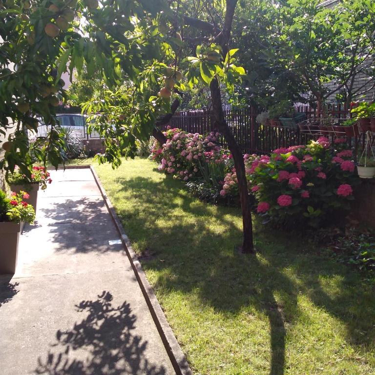 OLI apartman - Apartment - Disability Access - 25