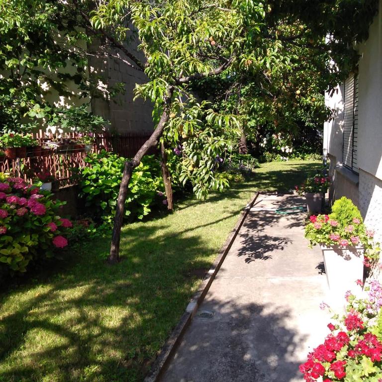 OLI apartman - Apartment - Disability Access - 26