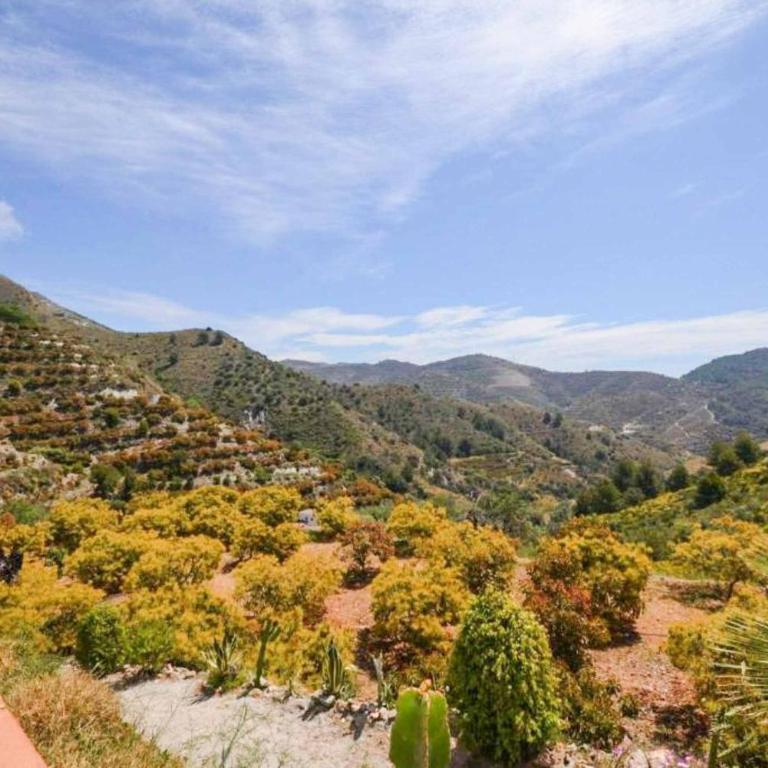 Villa Rosandra - Villa de 3 dormitorios - 11