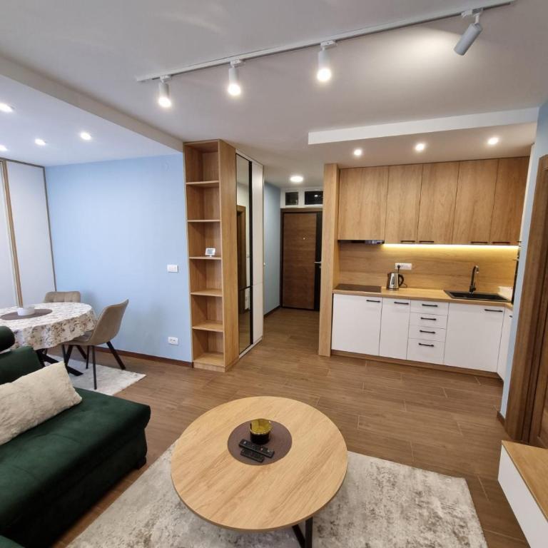 Šumski mir Borovi 3 - Apartman sa 1 Spavaćom Sobom - 3
