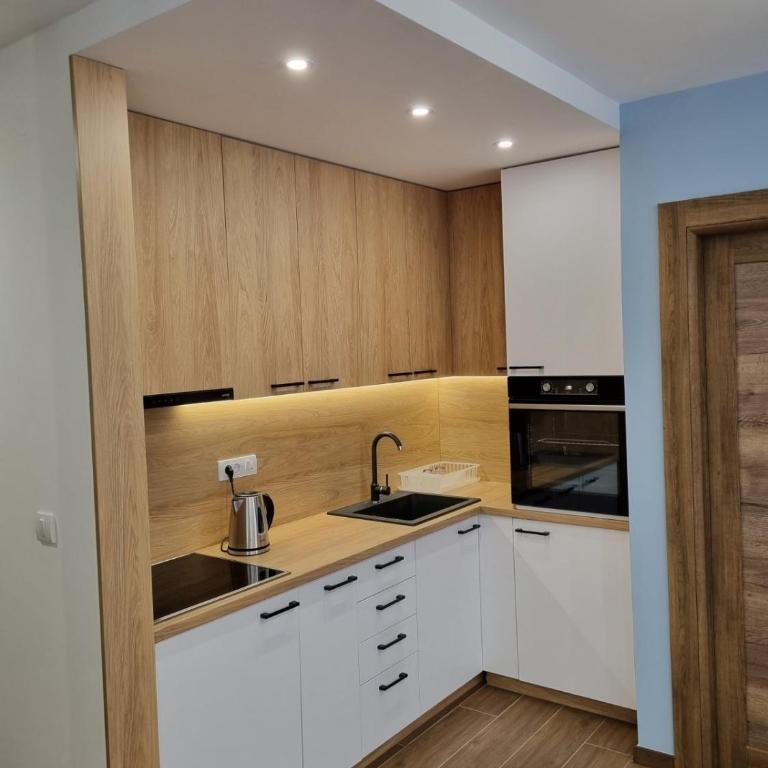 Šumski mir Borovi 3 - Apartman sa 1 Spavaćom Sobom - 12