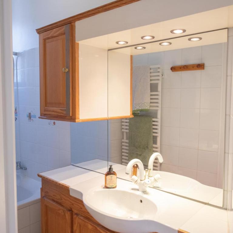Cosy and very nice flat with open view on a parc - Appartement 1 Chambre - 8