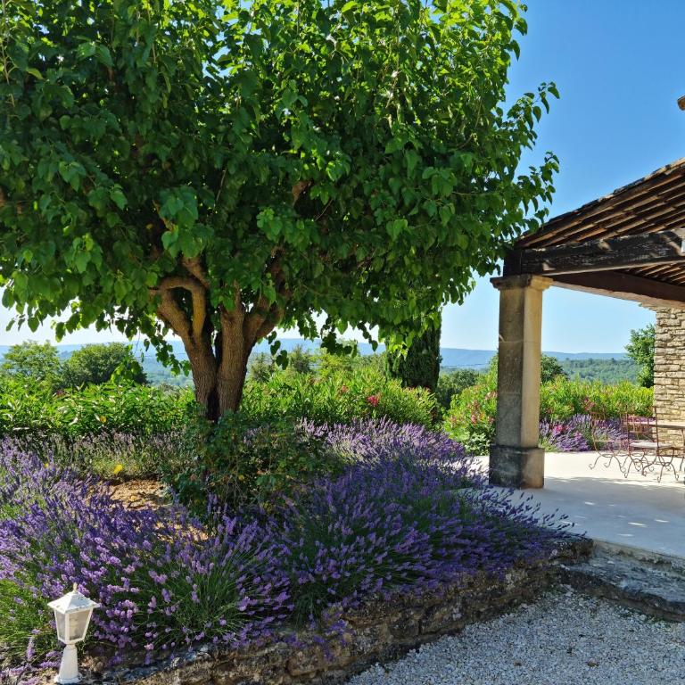 mas des oliviers - Villa con 2 Camere da Letto e Piscina Privata - 9