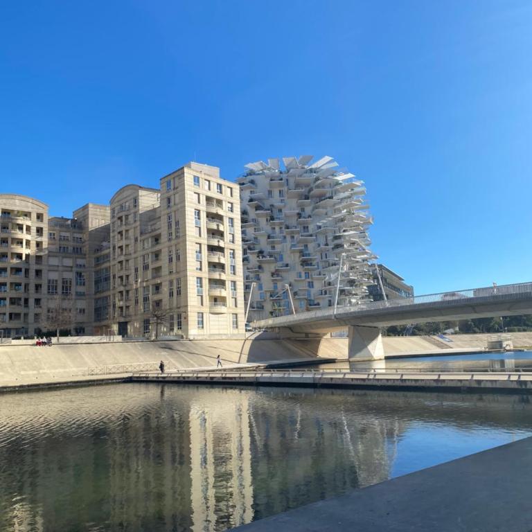 Rives du Lez - Prestige - Studio Lit King-Size avec Canapé-Lit - 41