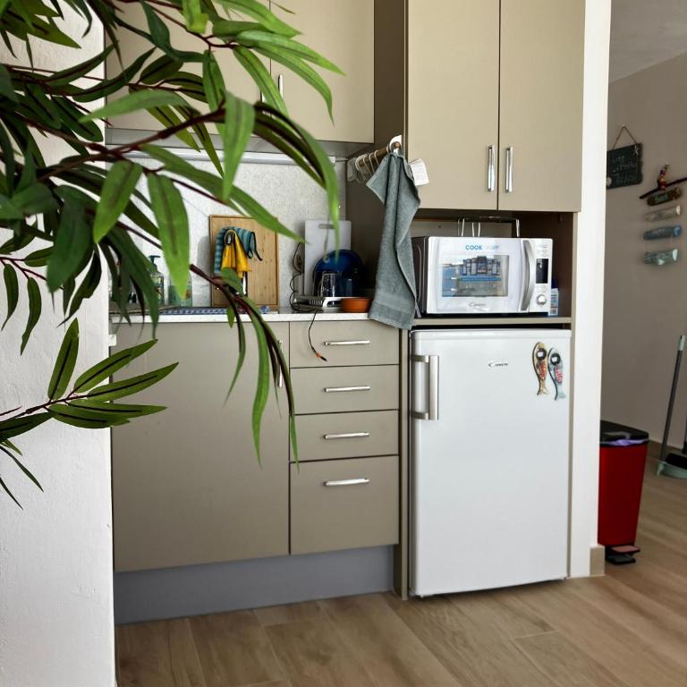Beach studio loft Costa Brava - Estudio - 17