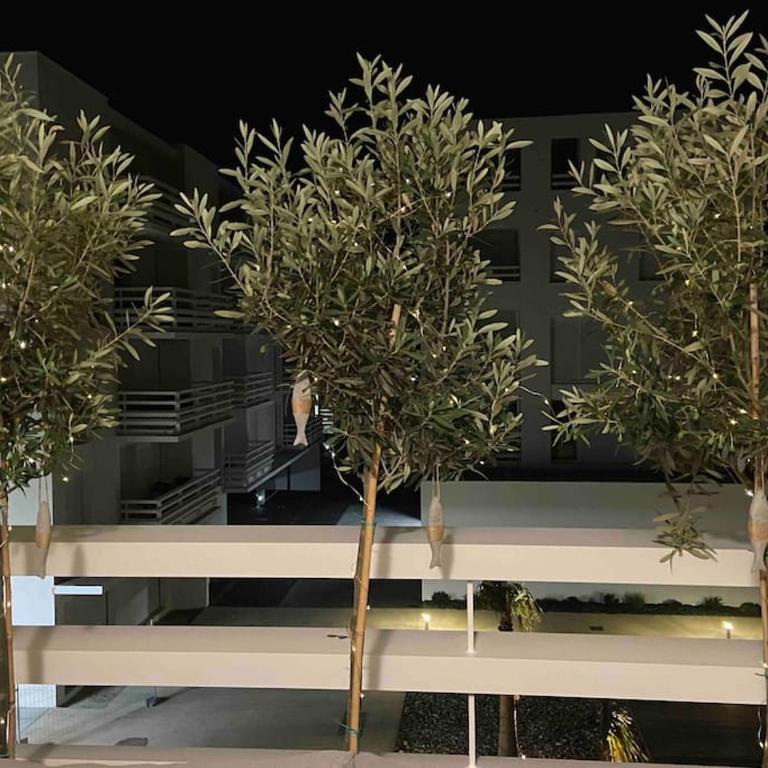 Les Voiles Blanches T2 luxe à 100m de la plage - Appartement 1 Chambre - 38