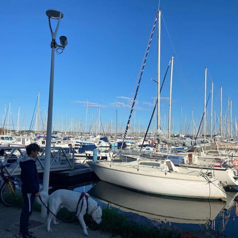 Les Voiles Blanches T2 luxe à 100m de la plage - Appartement 1 Chambre - 42